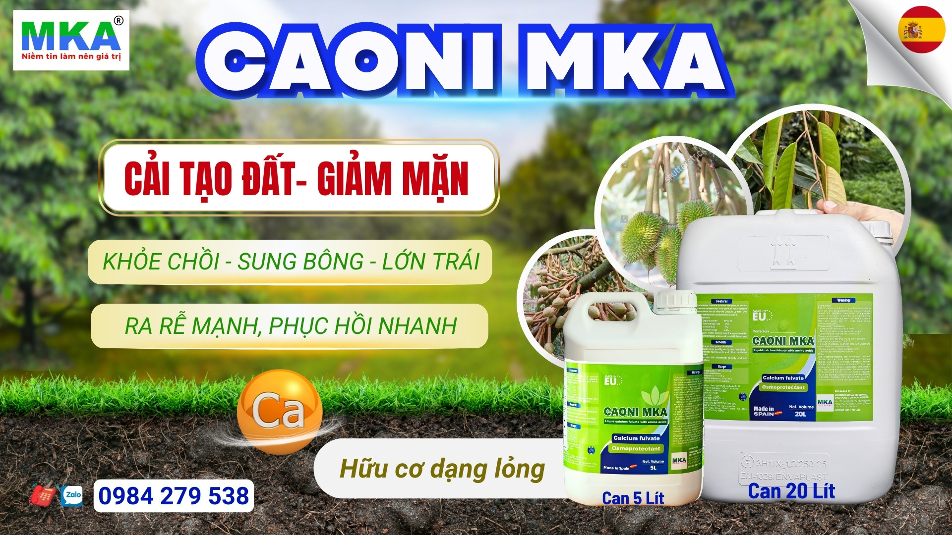 Caoni MKA cải tạo đất, hạn phèn, giảm mặn